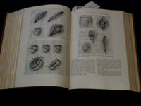 1935 JUL-DEC SURGERY, GYNECOLOGY AND OBSTETRICS MAGAZINE BOUND VOLUME -KD 4784B