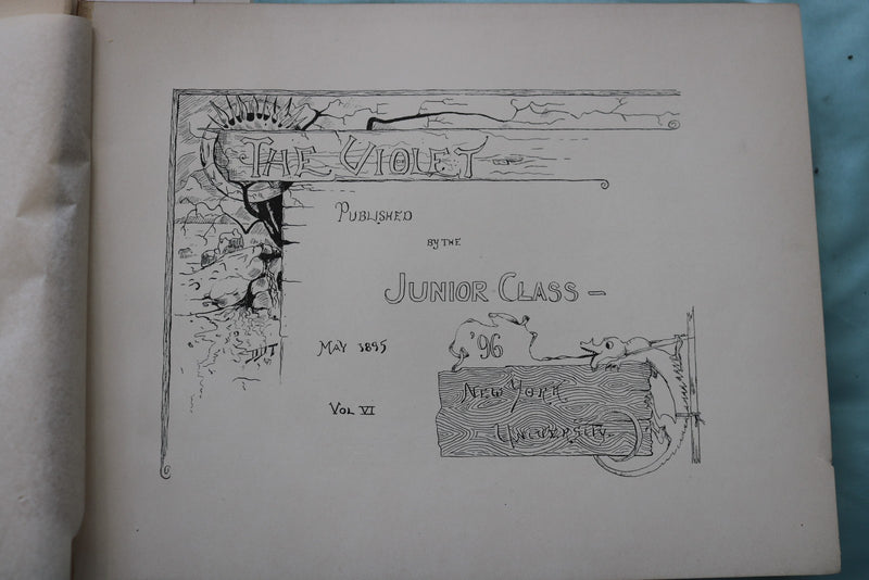 1896 THE VIOLET NEW YORK UNIVERSITY YEARBOOK - YB 3591