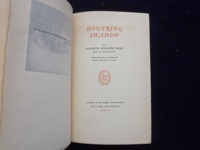 1929 HOVERING SHADOW HARDCOVER BOOK BY ELIZABETH HOLLISTER FROST - KD 8408
