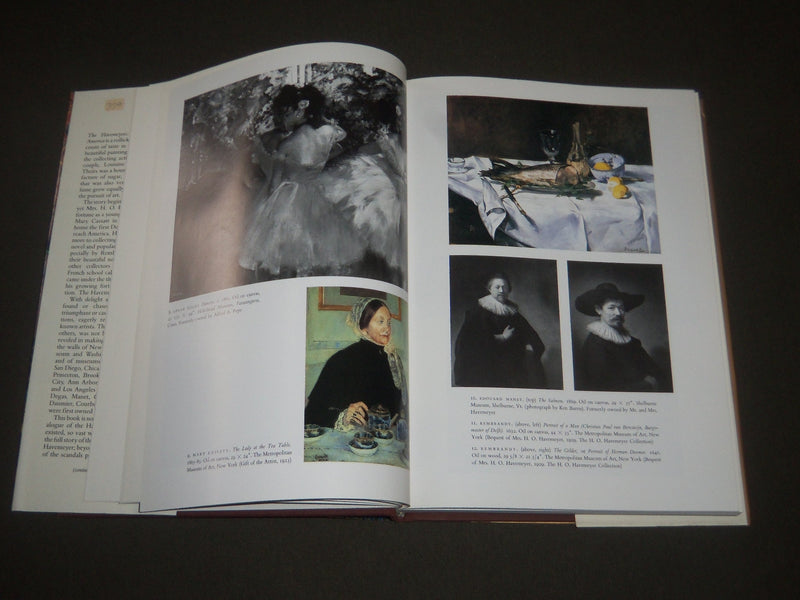 1986 THE HAVEMEYERS BY FRANCES WEITZENHOFFER HARDCOVER BOOK - KD 4064