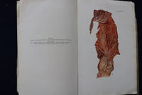 1934 BRUCELLA INFECTION IN SWINE SOFTCOVER BOOK BY AXEL THOMSEN -SIGNED - K 1462