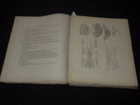 1877-1903 KONGLIGA SVENSKA SWEDISH VETENSKAPSAKADEMIENS VOLUMES LOT OF 8