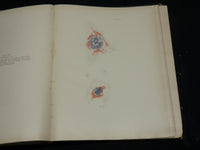 1912 STUDIES IN CANCER - PATHOLOGY BOUND VOLUME NO. 2 - 32 PLATES - KD 4500