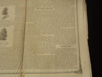 1860 MOORE'S RURAL NEW YORKER NEWSPAPER LOT OF 2 ISSUES - ROCHESTER NY - NP 8964