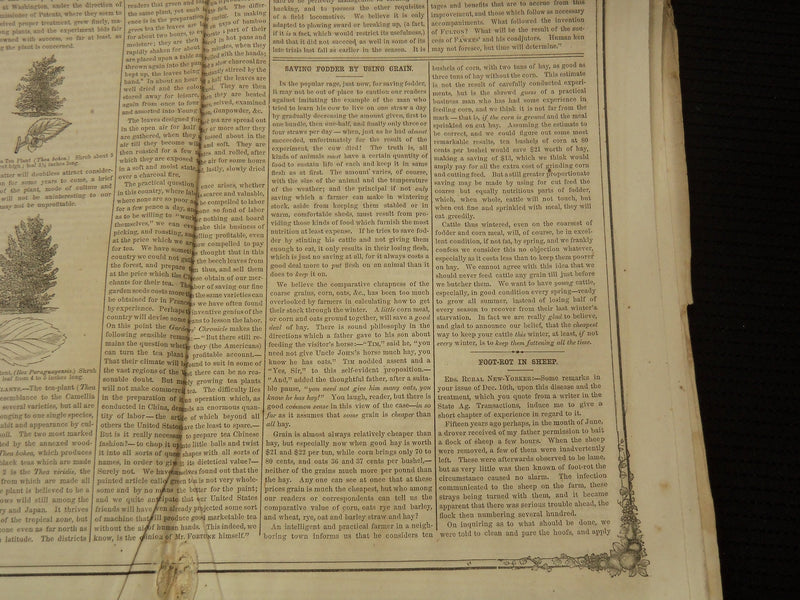 1860 MOORE'S RURAL NEW YORKER NEWSPAPER LOT OF 2 ISSUES - ROCHESTER NY - NP 8964
