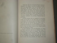 1881 DIE GEBIRGE - VORTRAG VON PROF. ALBERT HEIM - GERMAN TEXT - J 4895