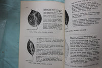 1963-1964 MADISON SCHOOL FOREST - LOT OF 2 - SOFTCOVER BOOKS - K 3271