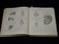 1901-1908 BULLETIN OF THE JOHNS HOPKINS HOSPITAL- 6 VOLUMES - OSLER - CUSHING