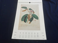 1995 BOTANICA CALENDAR - GREAT PAINTINGS - ST 2648S