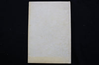 1959 WOLF JUNIOR HIGH SCHOOL YEARBOOK - EASTON, PENNSYLVANIA - YB 3495
