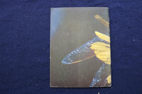 1950'S BIRDS & INSECT PARADE SOFTCOVER BOOKS BY BERTHA PARKER - LOT OF 2- K 1376