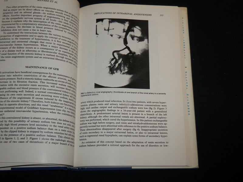 1984 HYPERTENSION AND THE ANGIOTENSIN SYSTEM HARDCOVER BOOK - KD 7156