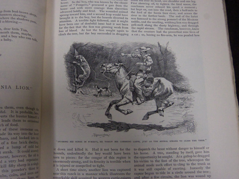 1888 ST. NICHOLAS MONTHLY MAGAZINE LOT OF 11 ISSUES - NICE ILLUS & ADS - WR 1074