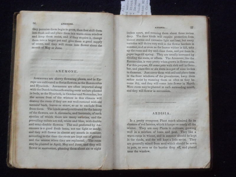 1845 THE AMERICAN FLORIST HARDCOVER BOOK BY JAMES NORMAN ELEY - KD 8746