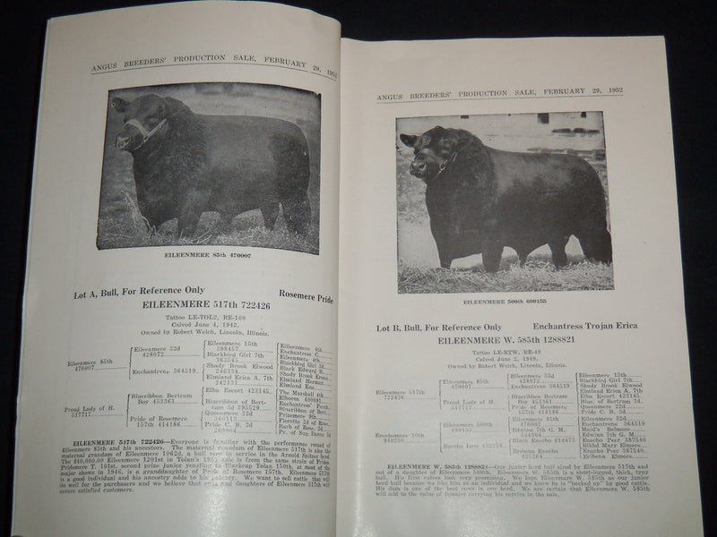 1952 EILEENMERE ABERDEEN-ANGUS BREEDERS' CATTLE SALE CATALOG - ILLINOIS - J 9111