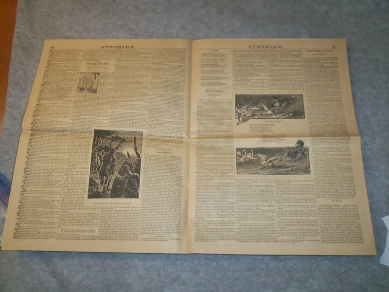1891 SEPTEMBER SUNSHINE FOR YOUTH - EDWARD C. ALLEN COVER - J 6282