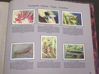 1930'S RICH'S SERIE FRA MARK OG SKOV ANIMAL TOBACCO CARDS ALBUM DANISH - KD 3185