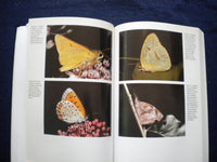 1997 BUTTERFLIES OF NEW JERSEY SOFTCOVER BOOK BY GOCHFELD & BURGER - KD 8034