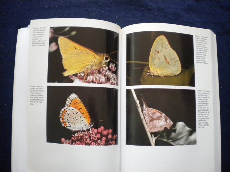 1997 BUTTERFLIES OF NEW JERSEY SOFTCOVER BOOK BY GOCHFELD & BURGER - KD 8034