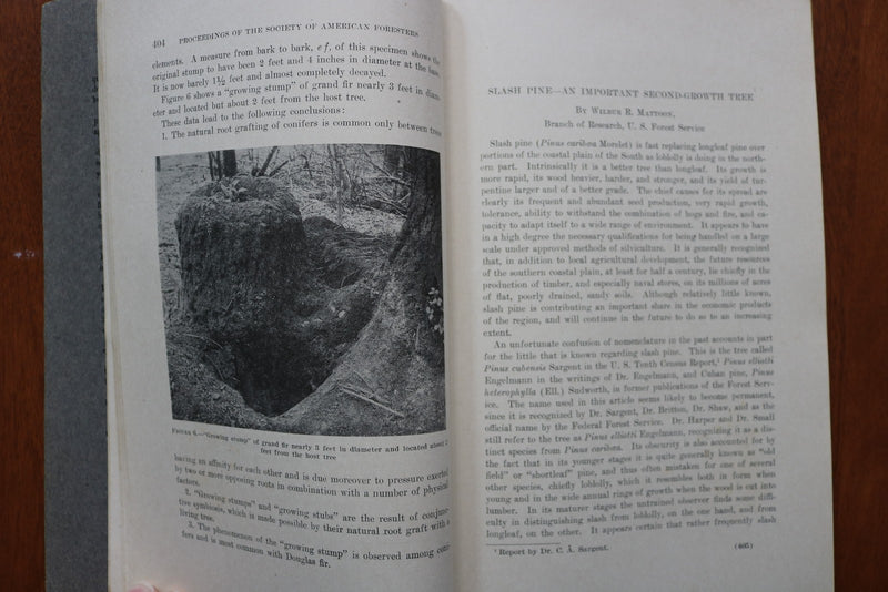 1916 OCTOBER SOCIETY OF AMERICAN FORESTERS PROCEEDINGS - SOFTCOVER BOOK - K 3247