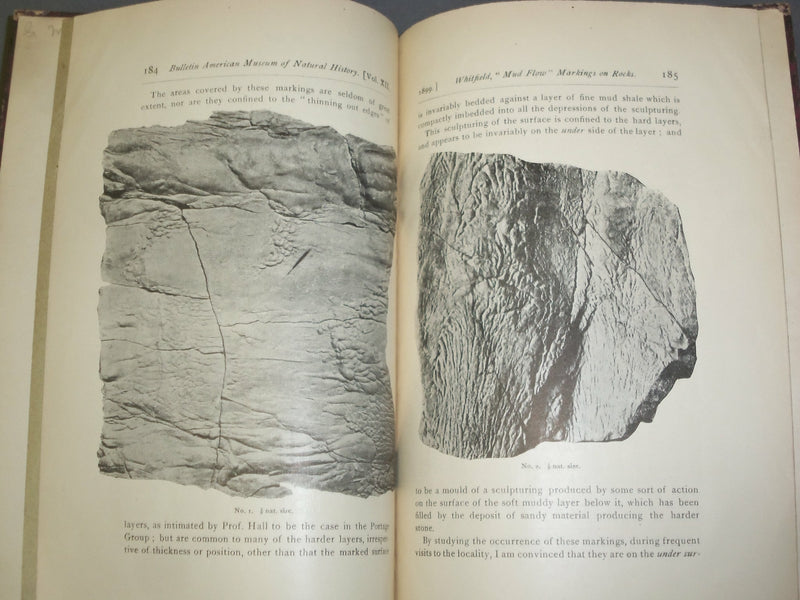 1899 OBSERVASTION ON SOME MUD FLOW MARKINGS ON ROCKS NEAR ALBANY, NY - J 4903