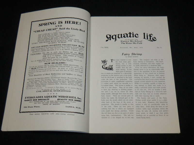 1934 APRIL AQUATIC LIFE MAGAZINE - NEW JERSEY FISH CULTURISTS' SHOW - J 6558