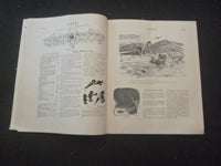 1913 JULY 24 LIFE MAGAZINE - 