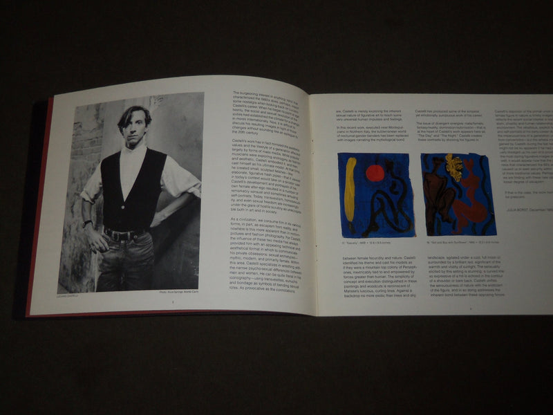 1990 LUCIANO CASTELLI NEW PAINTINGS RICHARD GRAY GALLERY CATALOG - KD 5059