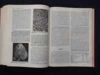 1984 PATHOLOGIC BASIS OF DISEASE HARDCOVER BOOK - ROBBINS-COTRAN-KUMAR - KD 8892