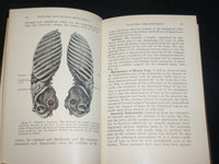 1930 POSTURE IT'S RELATION TO HEALTH BOOK BY FRANK D. DICKSON, M. D. - KD 2763T