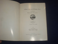 1955 WHALE SHIPS AND WHAILING SCENES - J 6418