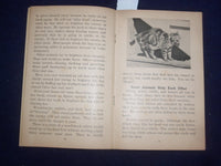 1935 PROTECTION IN NATURE BY GAYNELLE DAVIS - UNIT STUDY BOOK NO. 352 - J 9486