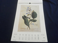 1995 BOTANICA CALENDAR - GREAT PAINTINGS - ST 2648S