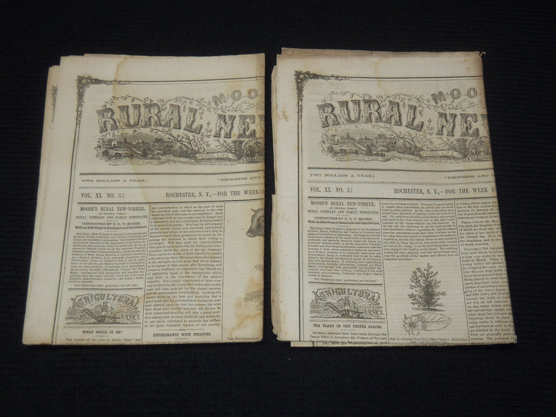 1860 MOORE'S RURAL NEW YORKER NEWSPAPER LOT OF 2 ISSUES - ROCHESTER NY - NP 8964