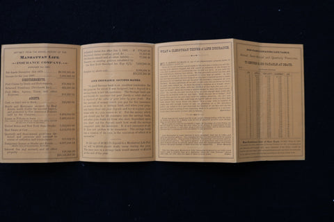 1881 MANHATTAN LIFE INSURANCE CO. OF NEW YORK REPORT - K 1976