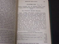1875 HENDERSON'S HANDBOOK OF THE GRASSES OF GREAT BRITAIN & AMERICA - KD 5819