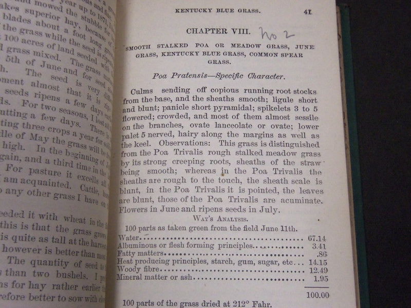 1875 HENDERSON'S HANDBOOK OF THE GRASSES OF GREAT BRITAIN & AMERICA - KD 5819