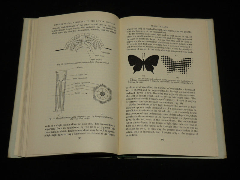 1952 PHYSIOLOGICAL APPROACH TO THE LOWER ANIMALS BOOK BY J. A. RAMSAY - KD 2764M