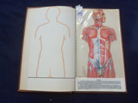 1958 TRANS-VISIONS OF ANATOMICAL CHROMOGRAPHS HARDCOVER BOOK BY DAVIS - KD 8756