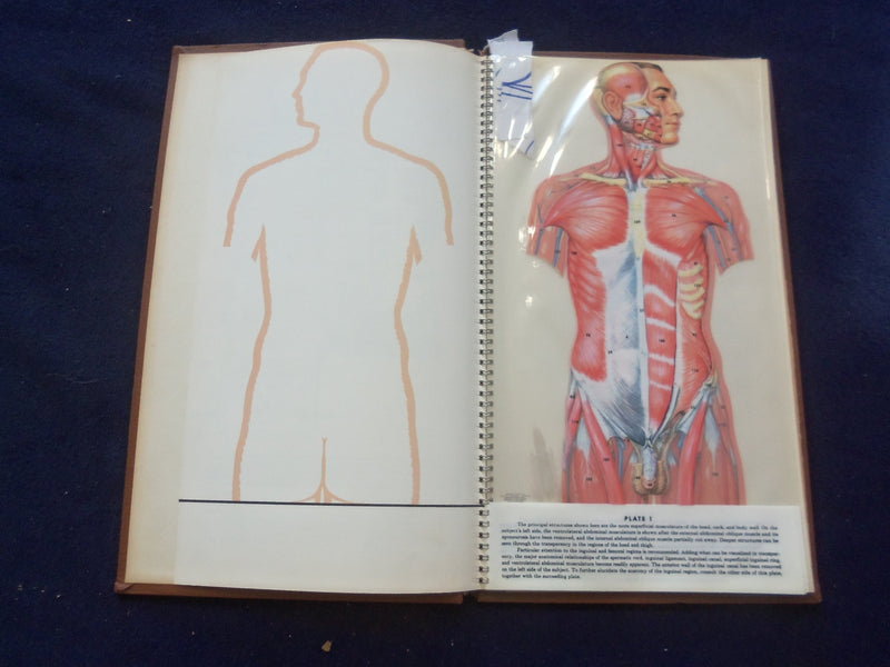 1958 TRANS-VISIONS OF ANATOMICAL CHROMOGRAPHS HARDCOVER BOOK BY DAVIS - KD 8756