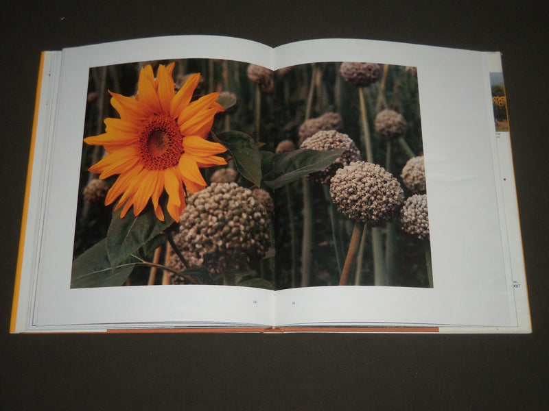1986 SUNFLOWERS FOR VAN GOGH BY DAVID DOUGLAS DUNCAN BOOK - I 867