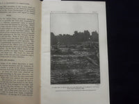 1915 DECEMBER WILLOWS: THEIR GROWTH, USE, AND IMPORTANCE SOFTCOVER BOOK - J 9618