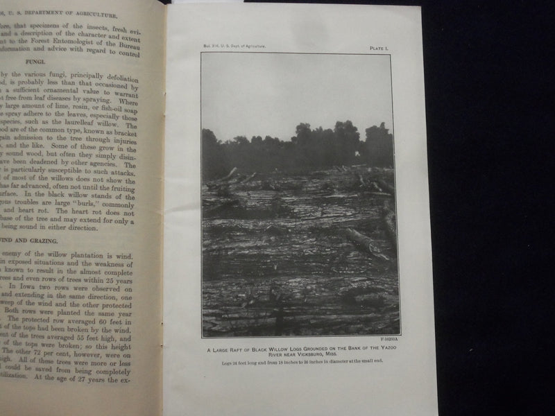 1915 DECEMBER WILLOWS: THEIR GROWTH, USE, AND IMPORTANCE SOFTCOVER BOOK - J 9618