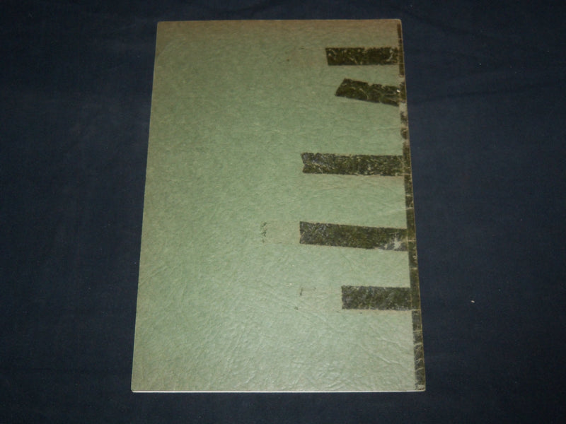 1920'S AUSABLE CHASM NEW YORK SEPIA VIEWS BOOK - J 8629