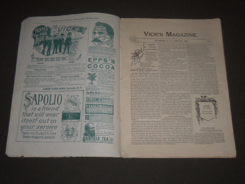 1892 JANUARY VICK'S ILLUSTRATED MONTHLY MAGAZINE - ROCHESTER NEW YORK - J 2565