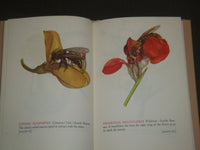 1940 GLASS FLOWERS IN THE WARE COLLECTION BY FRITZ KREDEL BOOK - KD 669