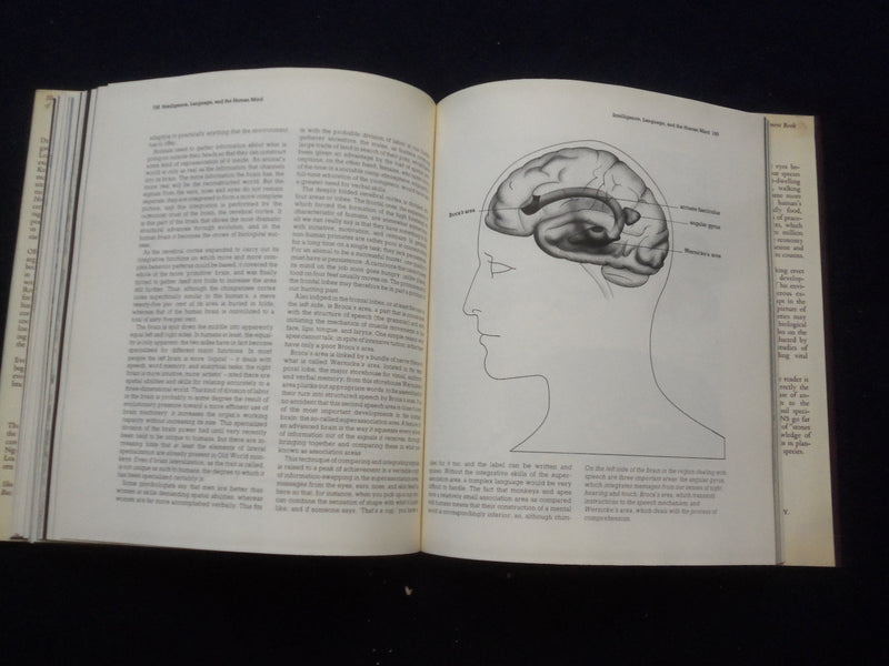 1977 ORIGINS HARDCOVER BOOK BY RICHARED E. LEAKEY AND ROGER LEWIN - KD 8338