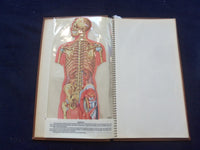 1958 TRANS-VISIONS OF ANATOMICAL CHROMOGRAPHS HARDCOVER BOOK BY DAVIS - KD 8756