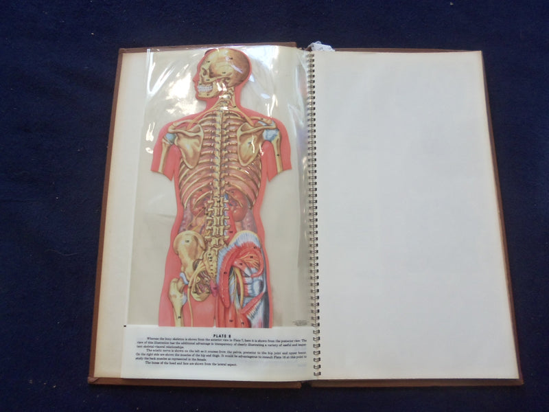 1958 TRANS-VISIONS OF ANATOMICAL CHROMOGRAPHS HARDCOVER BOOK BY DAVIS - KD 8756