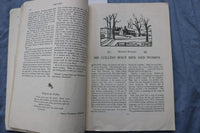 1945 AUTUMN THE LAND - A QUARTERLY MAGAZINE - SOFTCOVER - K 3203